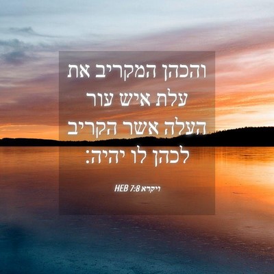 Picture 04 - ויקרא 7:8 HEB - והכהן המקריב את עלת איש עור - Bible Verse Picture