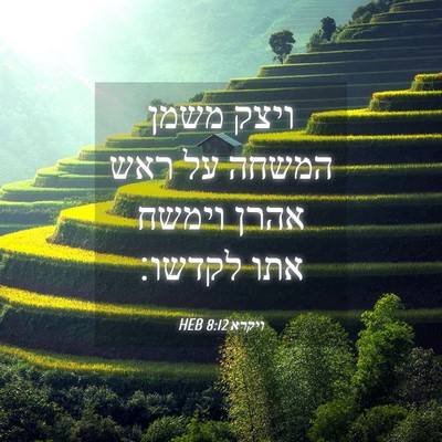 Picture 04 - ויקרא 8:12 HEB - ויצק משמן המשחה על ראש אהרן - Bible Verse Picture