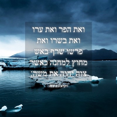 Picture 04 - ויקרא 8:17 HEB - ואת הפר ואת ערו ואת בשרו - Bible Verse Picture