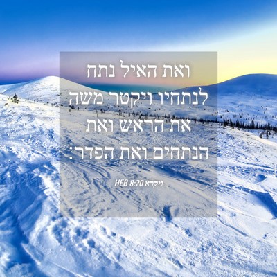 Picture 04 - ויקרא 8:20 HEB - ואת האיל נתח לנתחיו ויקטר - Bible Verse Picture