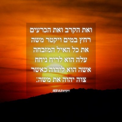 Picture 04 - ויקרא 8:21 HEB - ואת הקרב ואת הכרעים רחץ - Bible Verse Picture