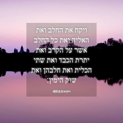 Picture 04 - ויקרא 8:25 HEB - ויקח את החלב ואת האליה ואת - Bible Verse Picture