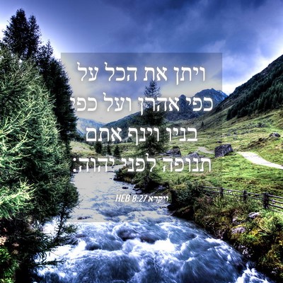 Picture 04 - ויקרא 8:27 HEB - ויתן את הכל על כפי אהרן ועל - Bible Verse Picture