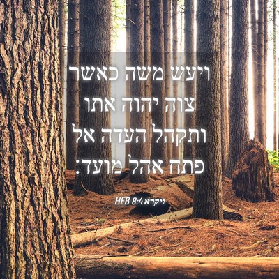 Picture 04 - ויקרא 8:4 HEB - ויעש משה כאשר צוה יהוה אתו - Bible Verse Picture