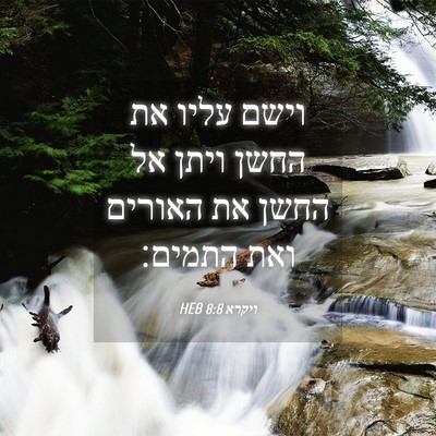 Picture 04 - ויקרא 8:8 HEB - וישם עליו את החשן ויתן אל - Bible Verse Picture