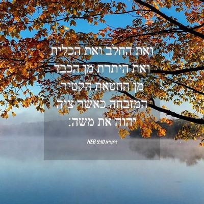 Picture 04 - ויקרא 9:10 HEB - ואת החלב ואת הכלית ואת - Bible Verse Picture