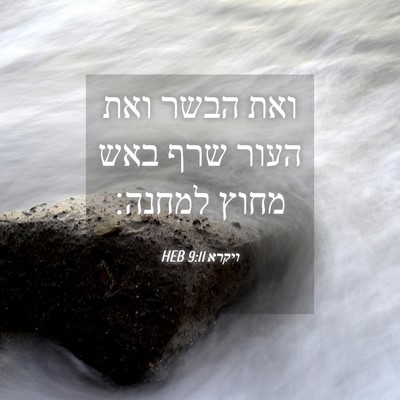 Picture 04 - ויקרא 9:11 HEB - ואת הבשר ואת העור שרף באש - Bible Verse Picture
