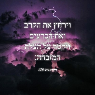 Picture 04 - ויקרא 9:14 HEB - וירחץ את הקרב ואת הכרעים - Bible Verse Picture