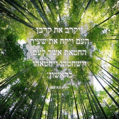 Picture 04 - ויקרא 9:15 HEB - ויקרב את קרבן העם ויקח את - Bible Verse Picture