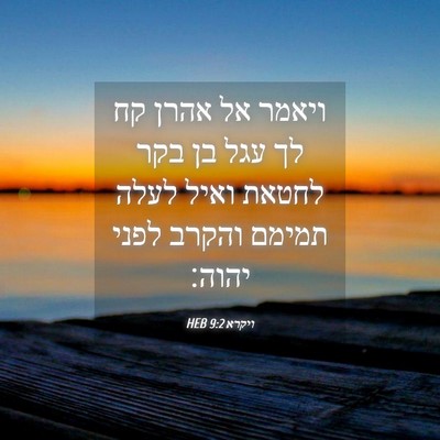 Picture 04 - ויקרא 9:2 HEB - ויאמר אל אהרן קח לך עגל בן - Bible Verse Picture