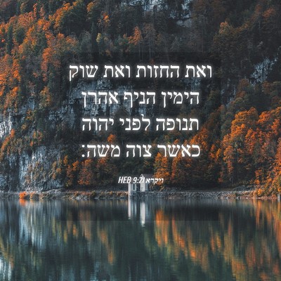 Picture 04 - ויקרא 9:21 HEB - ואת החזות ואת שוק הימין - Bible Verse Picture