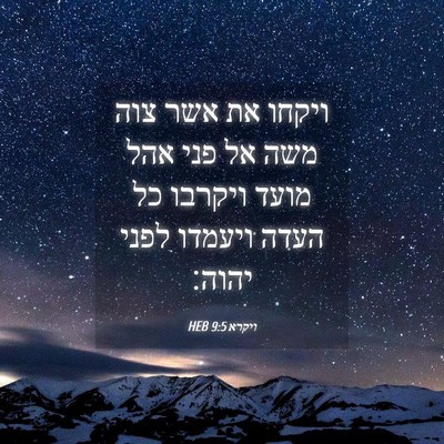 Picture 04 - ויקרא 9:5 HEB - ויקחו את אשר צוה משה אל פני - Bible Verse Picture