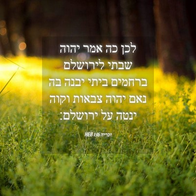 Picture 04 - זכריה 1:16 HEB - לכן כה אמר יהוה שבתי - Bible Verse Picture
