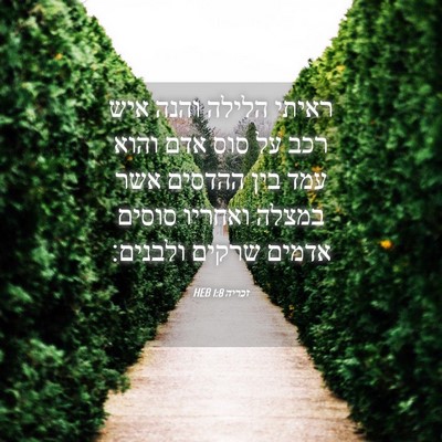 Picture 04 - זכריה 1:8 HEB - ראיתי הלילה והנה איש רכב על - Bible Verse Picture