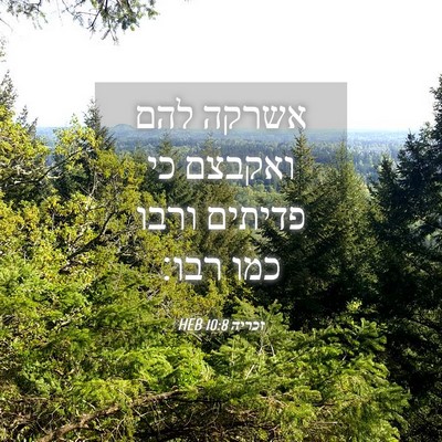 Picture 04 - זכריה 10:8 HEB - אשרקה להם ואקבצם כי פדיתים - Bible Verse Picture