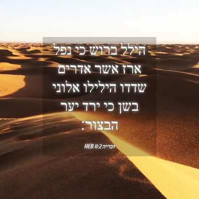 Picture 04 - זכריה 11:2 HEB - הילל ברוש כי נפל ארז אשר - Bible Verse Picture