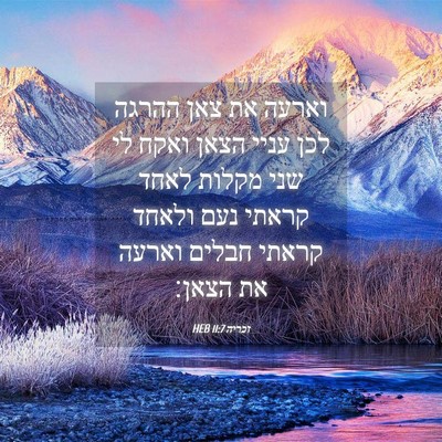 Picture 04 - זכריה 11:7 HEB - וארעה את צאן ההרגה לכן עניי - Bible Verse Picture