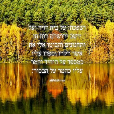 Picture 04 - זכריה 12:10 HEB - ושפכתי על בית דויד ועל יושב - Bible Verse Picture
