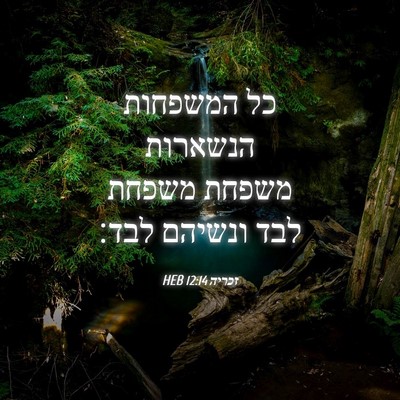 Picture 04 - זכריה 12:14 HEB - כל המשפחות הנשארות משפחת - Bible Verse Picture