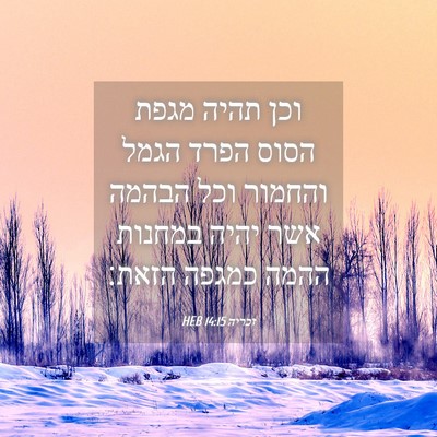 Picture 04 - זכריה 14:15 HEB - וכן תהיה מגפת הסוס הפרד - Bible Verse Picture
