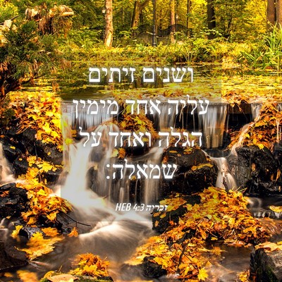 Picture 04 - זכריה 4:3 HEB - ושנים זיתים עליה אחד מימין - Bible Verse Picture