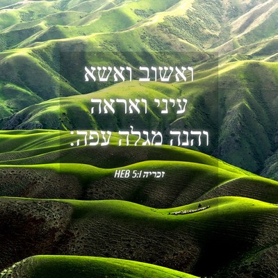 Picture 04 - זכריה 5:1 HEB - ואשוב ואשא עיני ואראה והנה - Bible Verse Picture