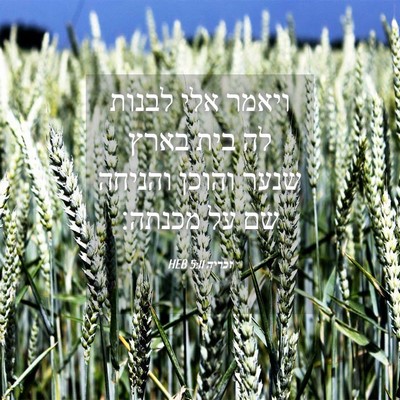 Picture 04 - זכריה 5:11 HEB - ויאמר אלי לבנות לה בית בארץ - Bible Verse Picture