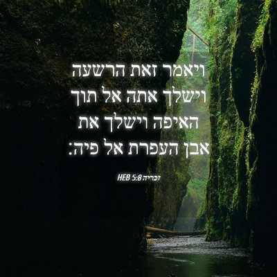 Picture 04 - זכריה 5:8 HEB - ויאמר זאת הרשעה וישלך אתה - Bible Verse Picture