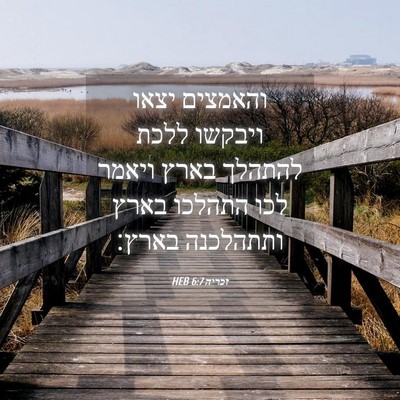 Picture 04 - זכריה 6:7 HEB - והאמצים יצאו ויבקשו ללכת - Bible Verse Picture
