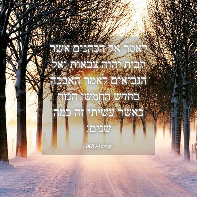 Picture 04 - זכריה 7:3 HEB - לאמר אל הכהנים אשר לבית - Bible Verse Picture