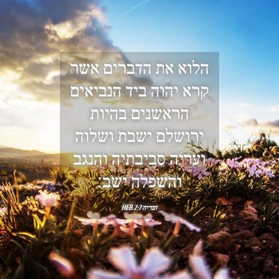 Picture 04 - זכריה 7:7 HEB - הלוא את הדברים אשר קרא יהוה - Bible Verse Picture