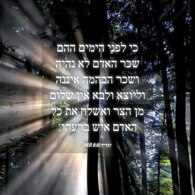 Picture 04 - זכריה 8:10 HEB - כי לפני הימים ההם שכר האדם - Bible Verse Picture