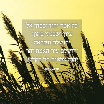 Picture 04 - זכריה 8:3 HEB - כה אמר יהוה שבתי אל ציון - Bible Verse Picture