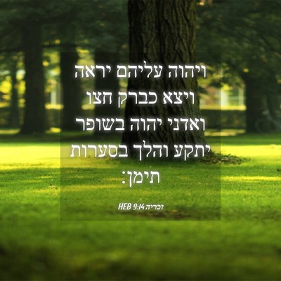 Picture 04 - זכריה 9:14 HEB - ויהוה עליהם יראה ויצא כברק - Bible Verse Picture