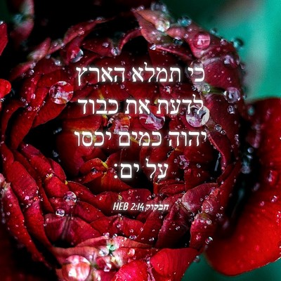 Picture 04 - חבקוק 2:14 HEB - כי תמלא הארץ לדעת את כבוד - Bible Verse Picture