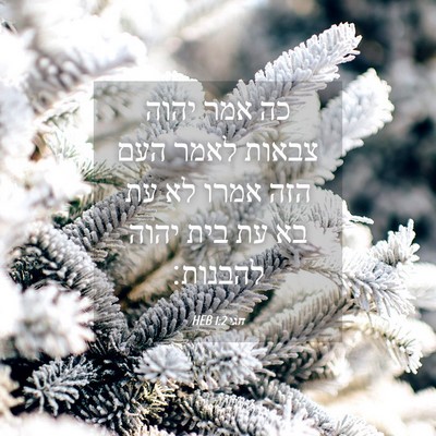 Picture 04 - חגי 1:2 HEB - כה אמר יהוה צבאות לאמר העם - Bible Verse Picture