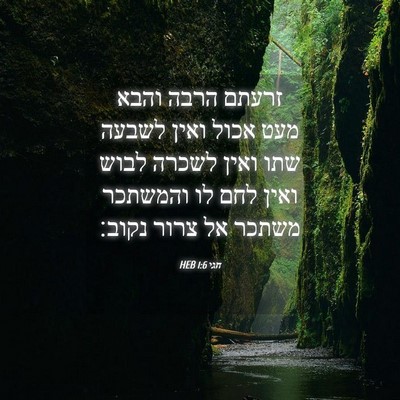 Picture 04 - חגי 1:6 HEB - זרעתם הרבה והבא מעט אכול - Bible Verse Picture