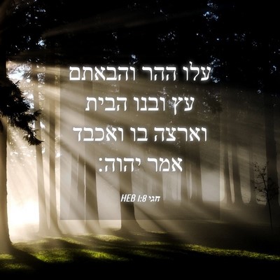 Picture 04 - חגי 1:8 HEB - עלו ההר והבאתם עץ ובנו הבית - Bible Verse Picture