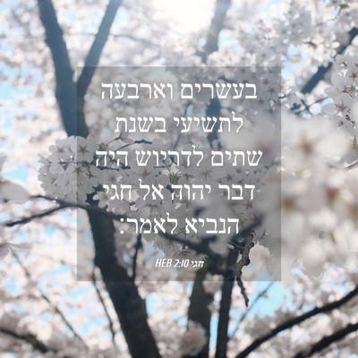 Picture 04 - חגי 2:10 HEB - בעשרים וארבעה לתשיעי בשנת - Bible Verse Picture