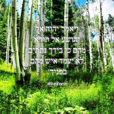 Picture 04 - יהושע 10:8 HEB - ויאמר יהוה אל יהושע אל תירא - Bible Verse Picture