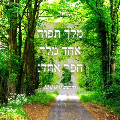 Picture 04 - יהושע 12:17 HEB - מלך תפוח אחד מלך חפר - Bible Verse Picture