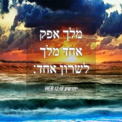 Picture 04 - יהושע 12:18 HEB - מלך אפק אחד מלך לשרון - Bible Verse Picture