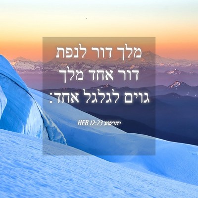 Picture 04 - יהושע 12:23 HEB - מלך דור לנפת דור אחד מלך - Bible Verse Picture