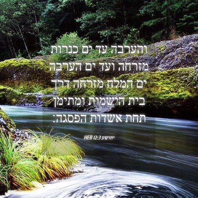 Picture 04 - יהושע 12:3 HEB - והערבה עד ים כנרות מזרחה - Bible Verse Picture