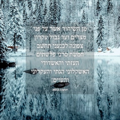 Picture 04 - יהושע 13:3 HEB - מן השיחור אשר על פני מצרים - Bible Verse Picture