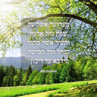 Picture 04 - יהושע 13:9 HEB - מערוער אשר על שפת נחל ארנון - Bible Verse Picture