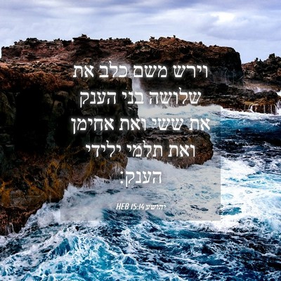 Picture 04 - יהושע 15:14 HEB - וירש משם כלב את שלושה בני - Bible Verse Picture