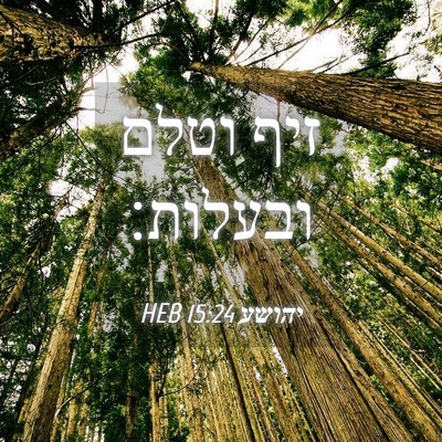 Picture 04 - יהושע 15:24 HEB - זיף וטלם - Bible Verse Picture