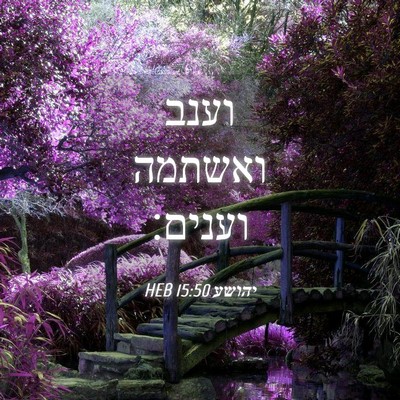 Picture 04 - יהושע 15:50 HEB - וענב ואשתמה - Bible Verse Picture