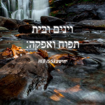 Picture 04 - יהושע 15:53 HEB - וינים ובית תפוח - Bible Verse Picture